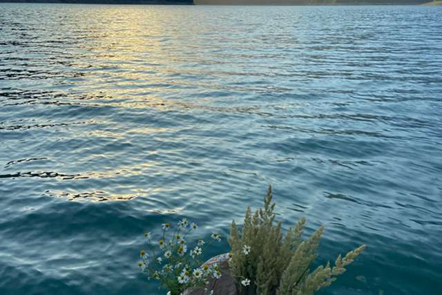 常州婚姻律师，婚姻中的法律智慧与情感平衡